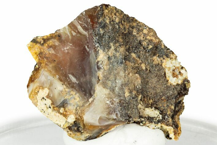 Rough Oregon Fire Opal #330542